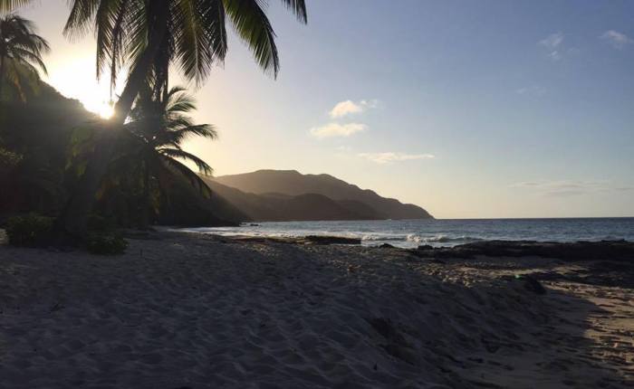 About Stephanie Hanlon